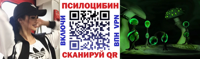 Псилоцибиновые грибы прущие грибы  Рошаль 