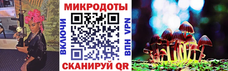 Псилоцибиновые грибы Cubensis Рошаль